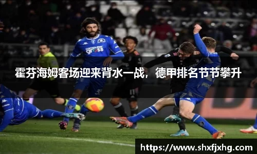 霍芬海姆客场迎来背水一战，德甲排名节节攀升