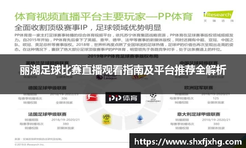 丽湖足球比赛直播观看指南及平台推荐全解析