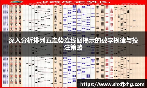 深入分析排列五走势连线图揭示的数字规律与投注策略