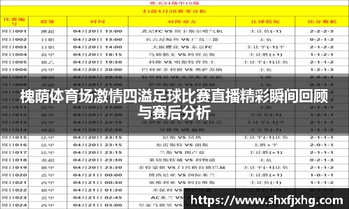 槐荫体育场激情四溢足球比赛直播精彩瞬间回顾与赛后分析