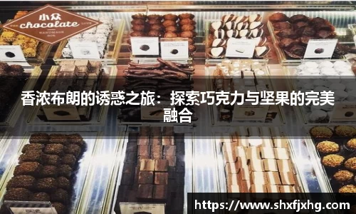 香浓布朗的诱惑之旅：探索巧克力与坚果的完美融合