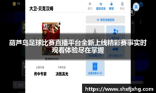 葫芦岛足球比赛直播平台全新上线精彩赛事实时观看体验尽在掌握