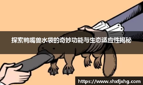 探索鸭嘴兽水袋的奇妙功能与生态适应性揭秘