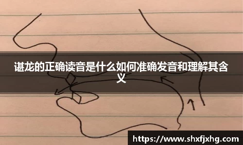 谌龙的正确读音是什么如何准确发音和理解其含义