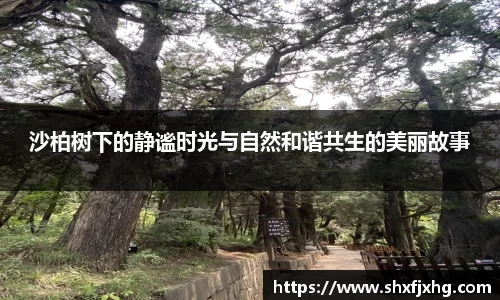 沙柏树下的静谧时光与自然和谐共生的美丽故事